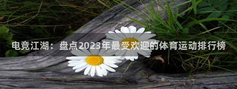 oety欧亿体育官网下载是干嘛的公司：电竞江湖：盘点