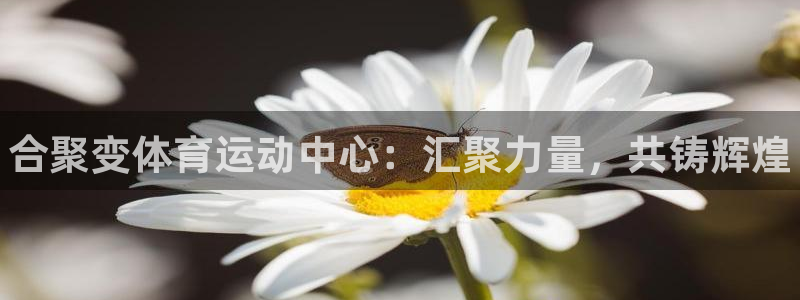 欧亿体育官方正版app集团官网首页网址：合聚变体育运