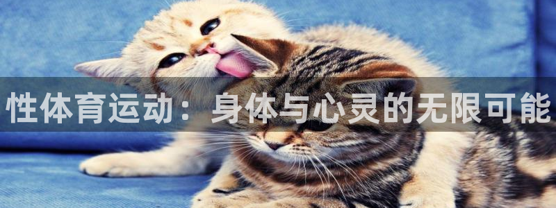 oety欧亿体育官网下载招商电话号码查询：性体育运动
