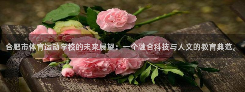oety欧亿体育官网下载娱乐：合肥市体育运动学校的未