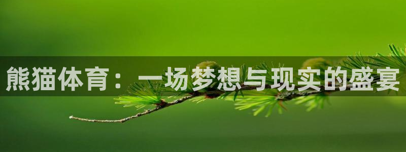 欧亿体育官方集团官网：熊猫体育：一场梦想与现实的盛宴