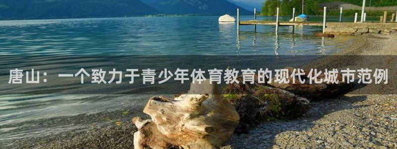 oety欧亿体育官网下载招商电话号码查询：唐山：一个
