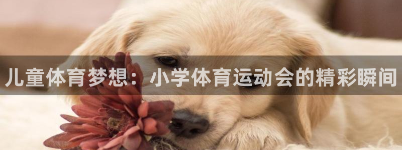 欧亿体育官方正版app官方：儿童体育梦想：小学体育运