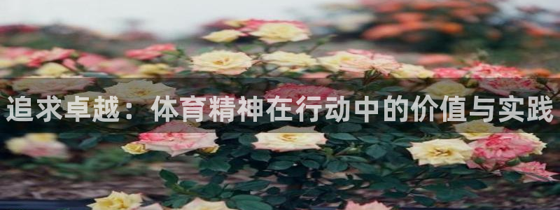 欧亿体育官方正版app代理：追求卓越：体育精神在行动