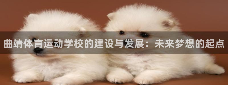 欧亿体育官方正版app集团简介：曲靖体育运动学校的建设与发展