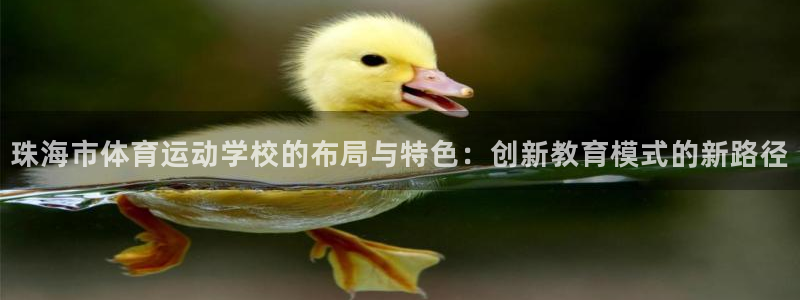 德国欧亿体育官方正版app集团：珠海市体育运动学校的布局与特