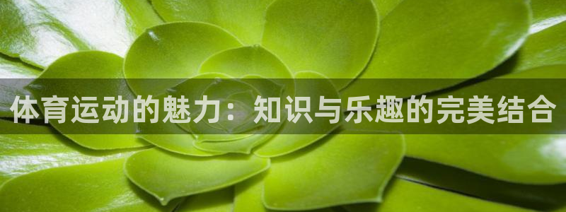 oety欧亿体育官网下载平台注册流程视频：体育运动的魅力：知