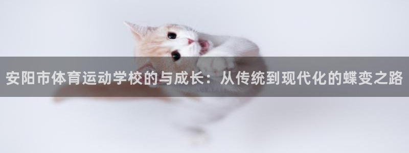 oety欧亿体育官网下载招商电话是多少：安阳市体育运