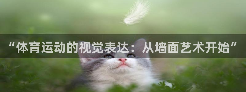 欧亿体育官方集团官网：“体育运动的视觉表达：从墙面艺
