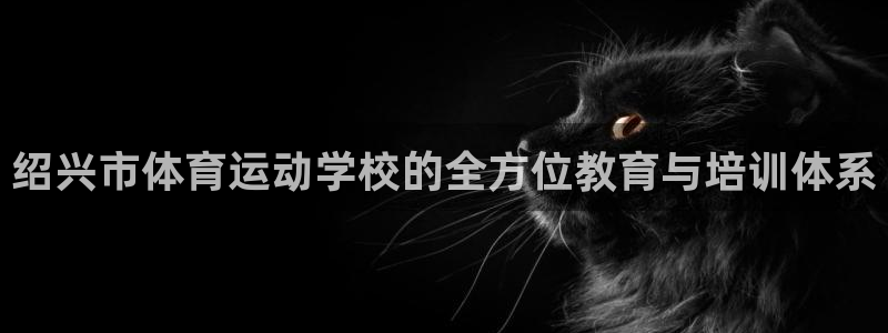 欧亿体育官方正版app神州