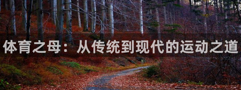 oety欧亿体育官网下载平台注册流程图：体育之母：从传统到现