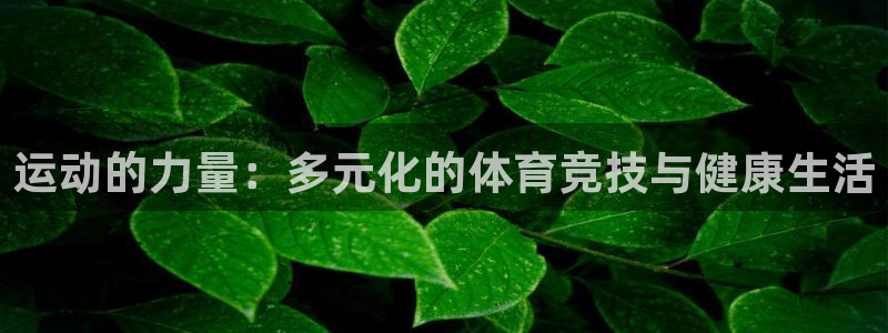欧亿平台在线