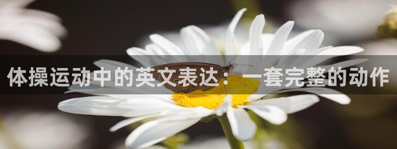  首页欧亿3：体操运动中的英文表达：一套完整的动作