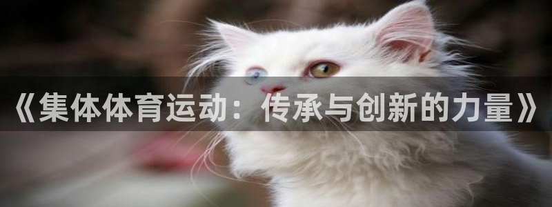 欧亿官网下载教程电脑欧亿.交易app.中国：《集体体育运动：