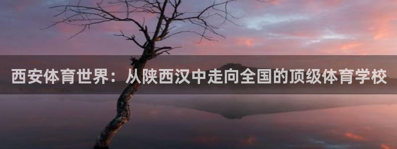  OE欧亿全站注·册：西安体育世界：从陕西汉中走向全国的顶级体